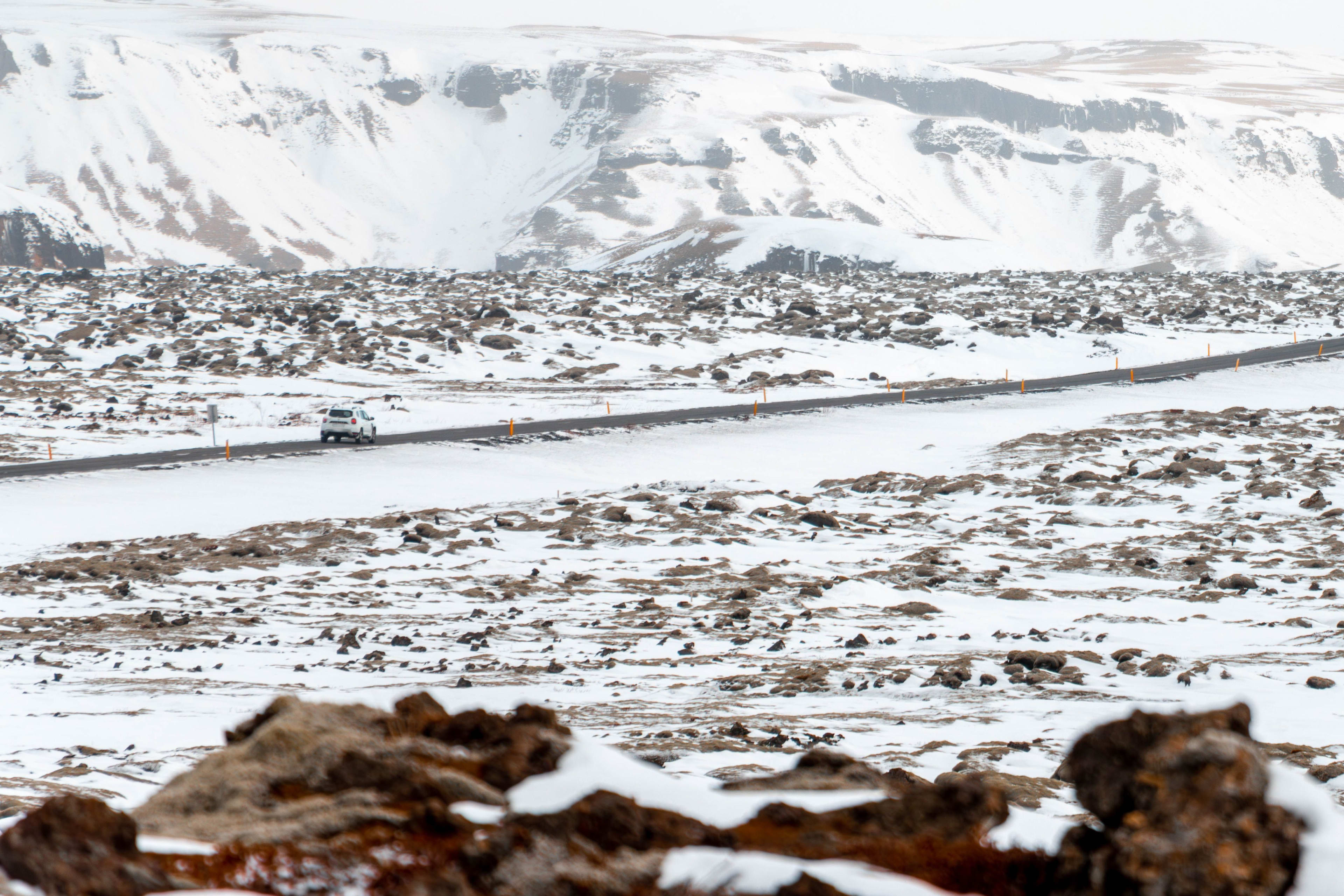 Eldhraun lava field in winter