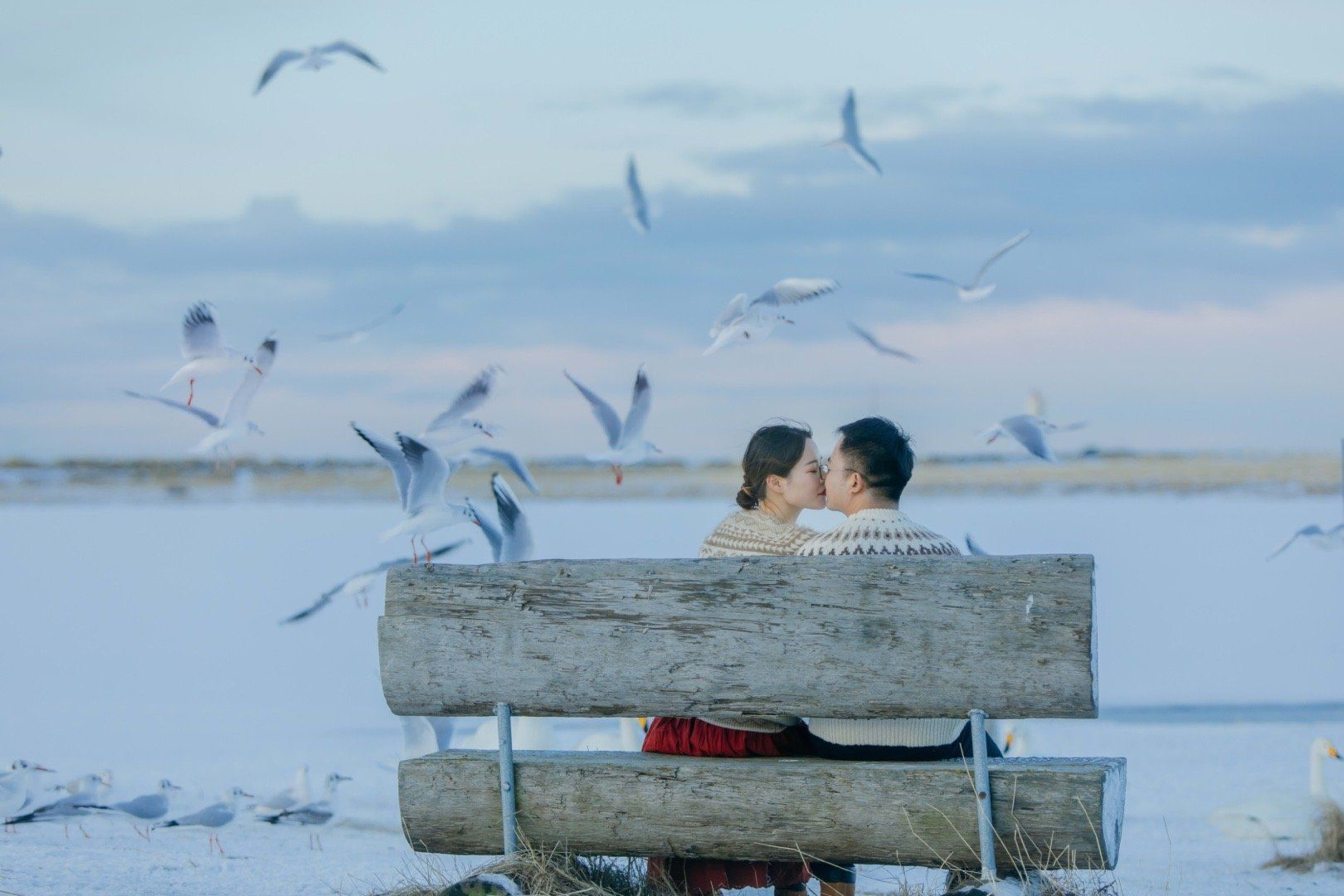 couple kiss at Tjornin