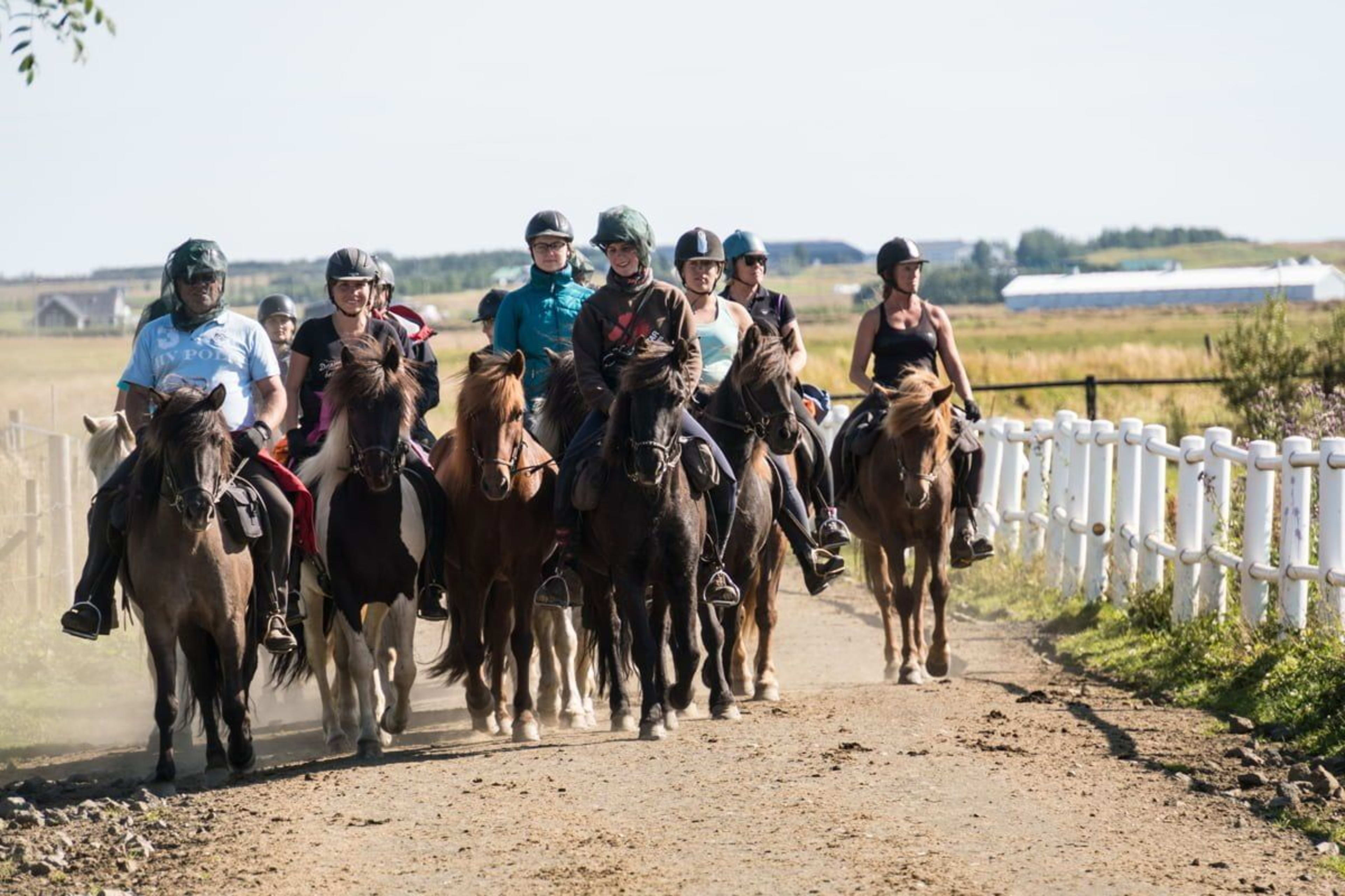 group icelandic horseback riding tour