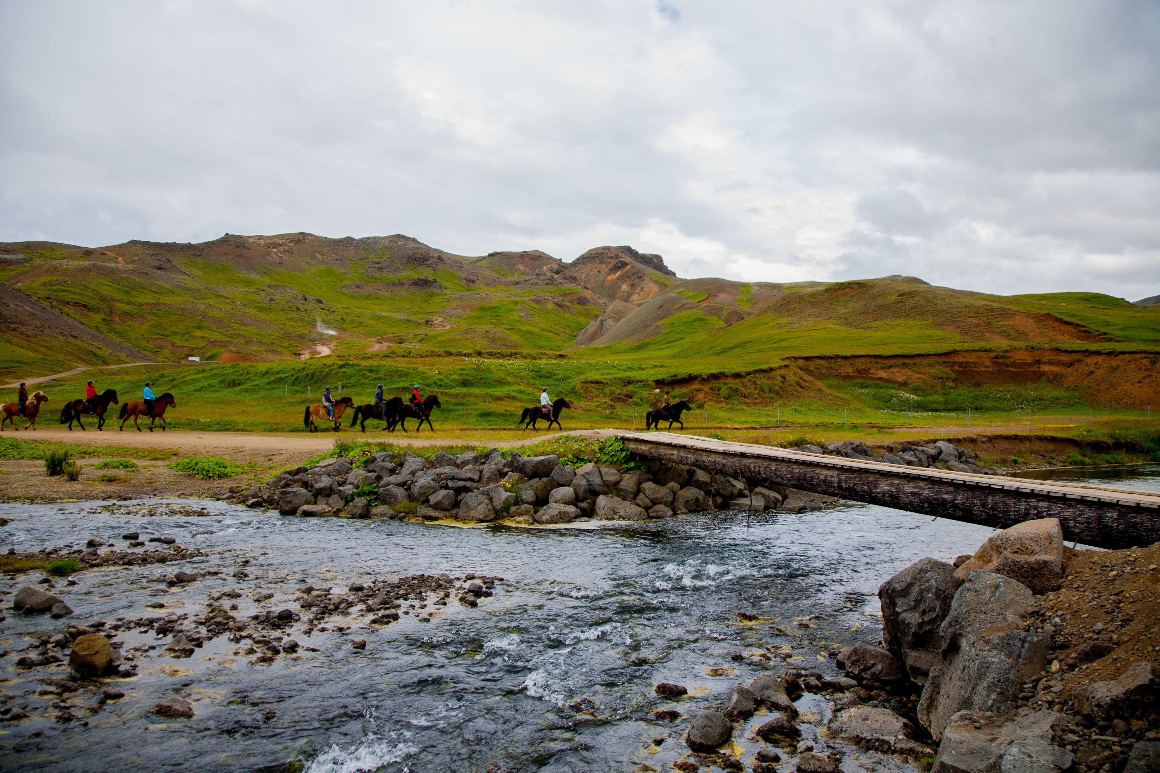 group riding icelandic horses across the river-3c