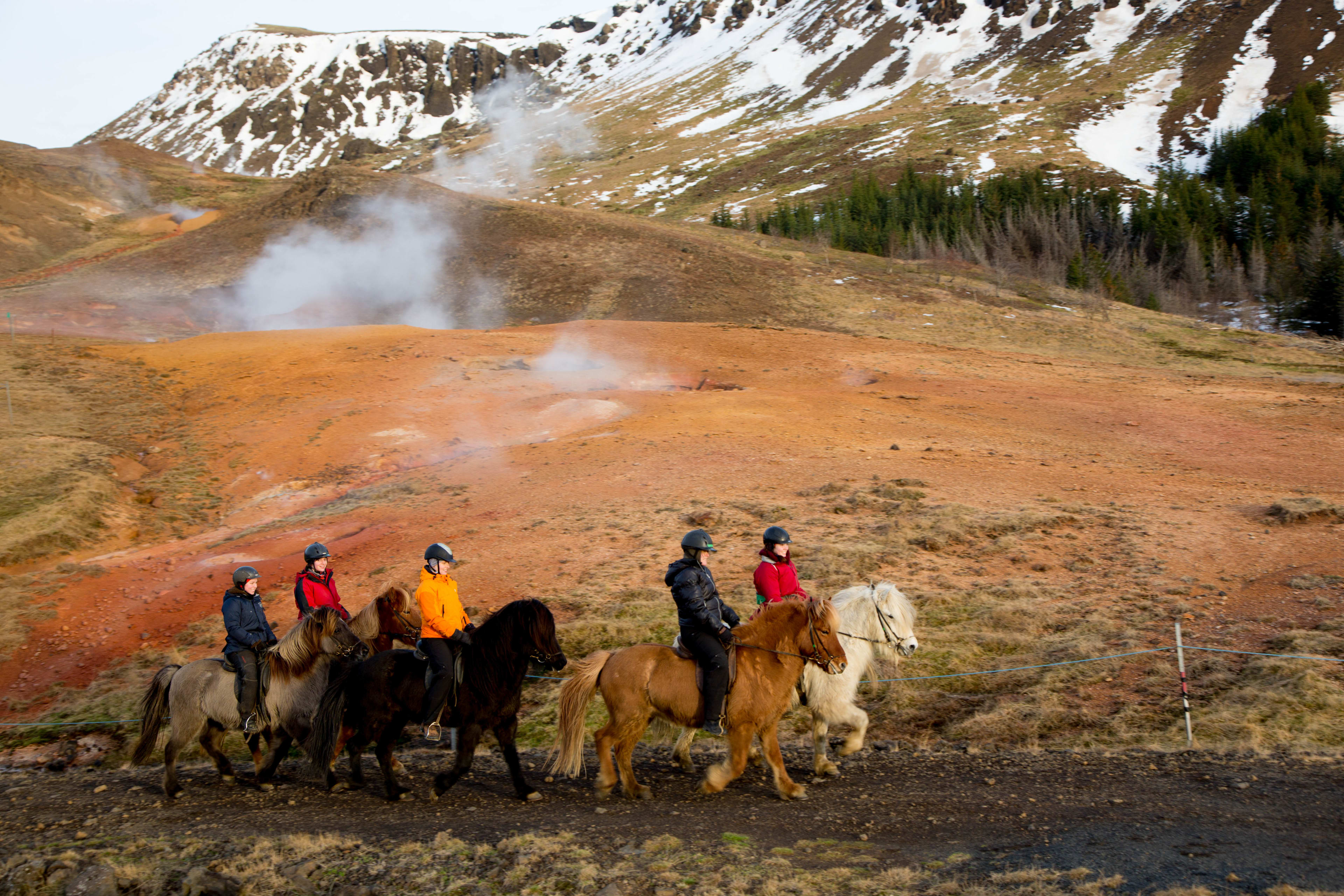 icelandic horse riding in geothermal hot springs area-3c