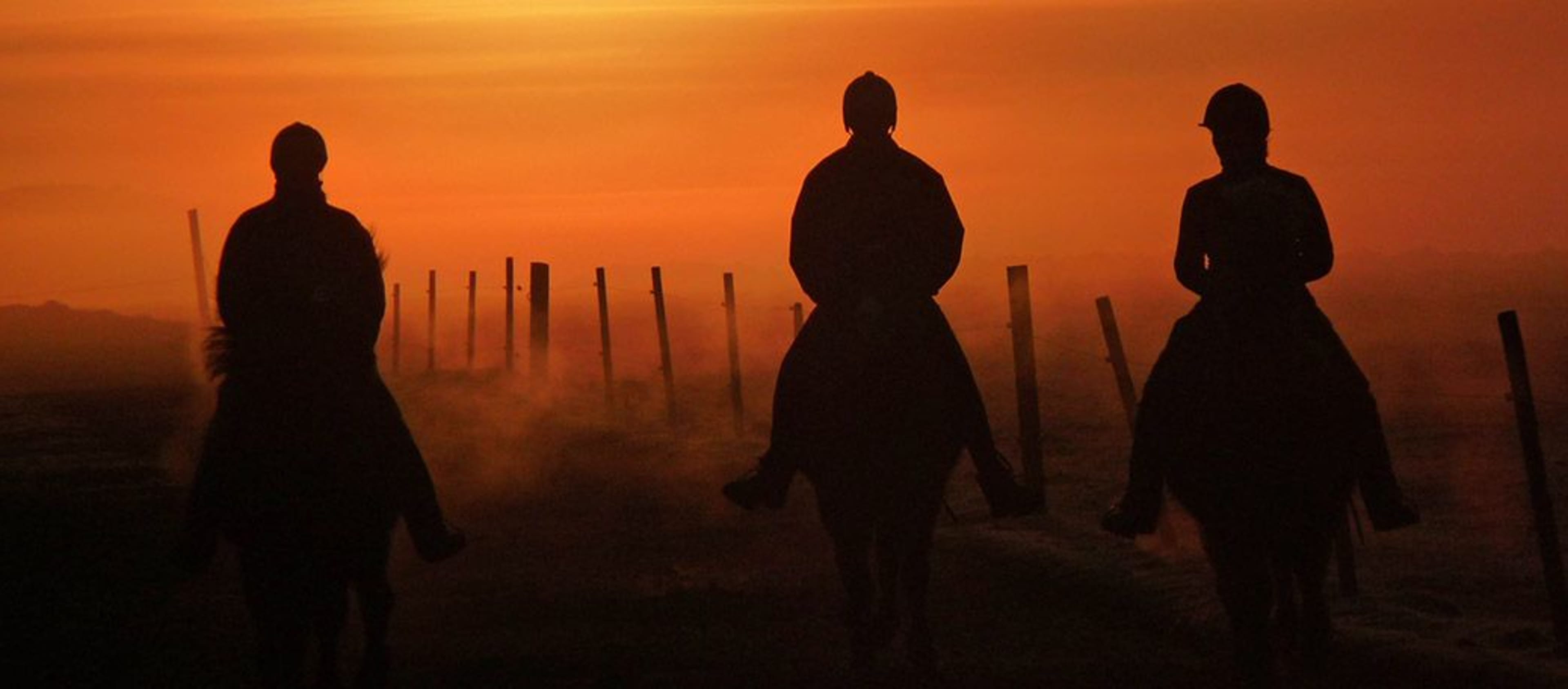 horse riding at sunset