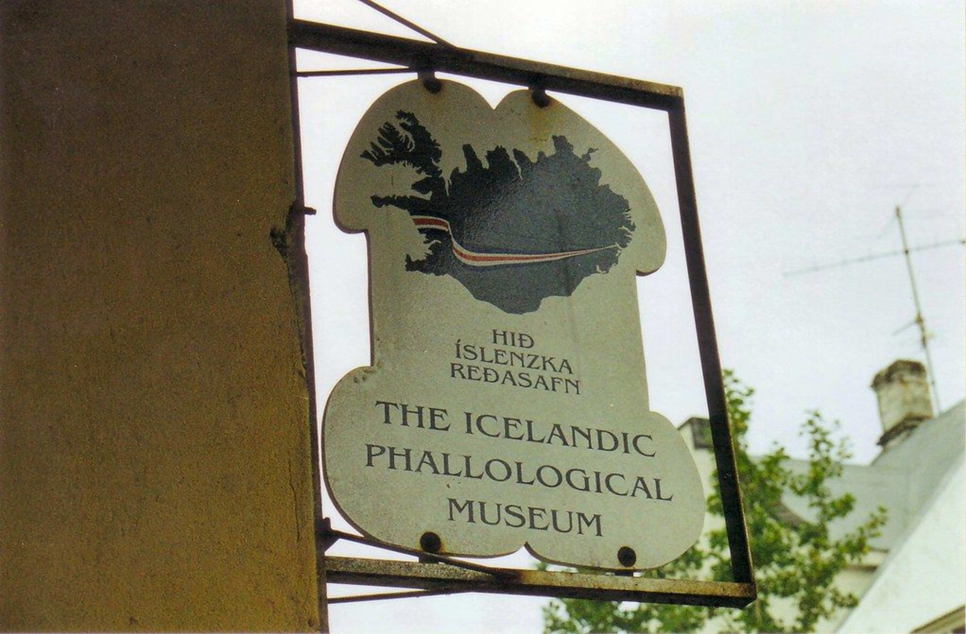 冰岛丁丁博物馆｜Icelandic Phallological Museum