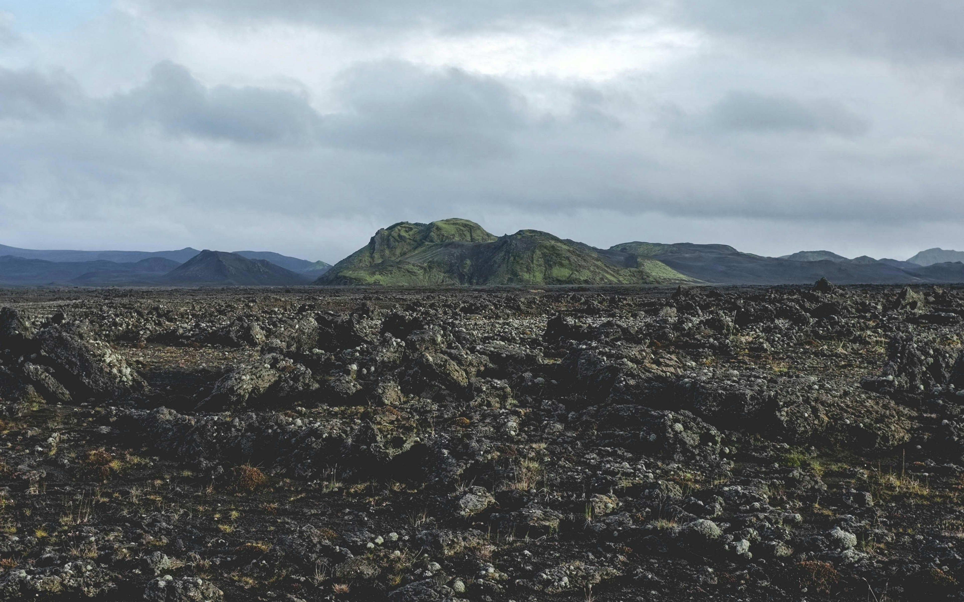 Landmannalaugar wild